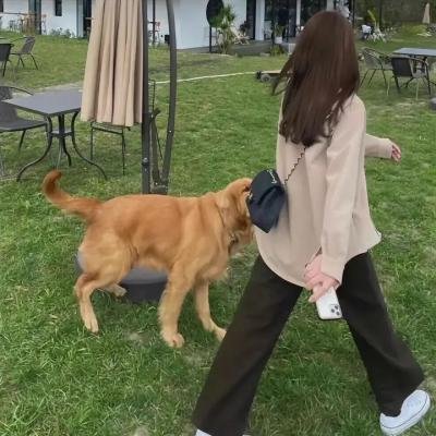 消失的她